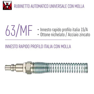 immagine-1-ani-ani-63mf-innesto-rapido-profilo-italia-con-molla-ean-8022219003827